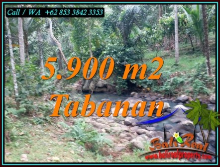 Magnificent PROPERTY SELEMADEG TABANAN LAND FOR SALE TJTB458