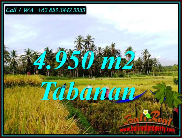 FOR SALE Exotic 4,950 m2 LAND IN MARGA TABANAN BALI TJTB464