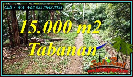 Affordable PROPERTY 15,000 m2 LAND FOR SALE IN TABANAN TJTB469