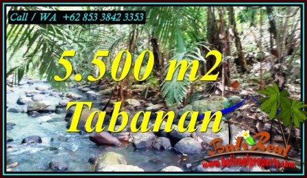 Affordable 5,500 m2 LAND IN SELEMADEG BALI FOR SALE TJTB470