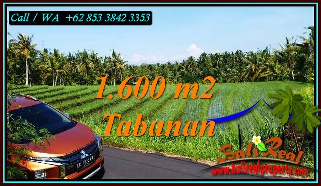 Exotic PROPERTY 1,600 m2 LAND IN TABANAN FOR SALE TJTB471