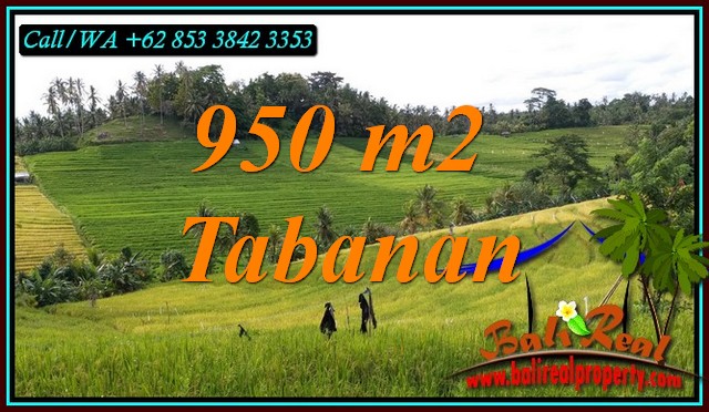 Exotic PROPERTY LAND FOR SALE IN SELEMADEG TIMUR BALI TJTB483