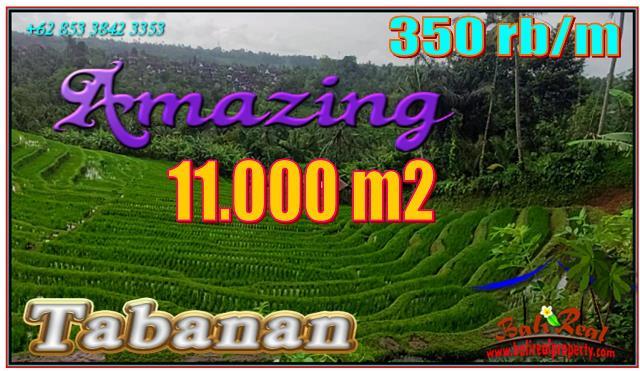 Magnificent PROPERTY 11,000 m2 LAND FOR SALE IN TABANAN TJTB556