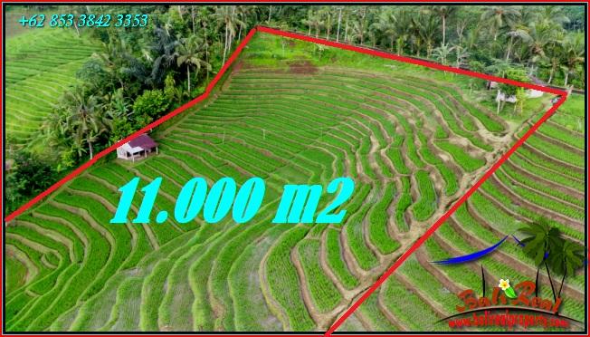 Beautiful PROPERTY 11,000 m2 LAND IN TABANAN FOR SALE TJTB556