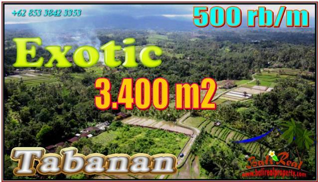 Affordable PROPERTY Penebel Tabanan BALI 3,400 m2 LAND FOR SALE TJTB557