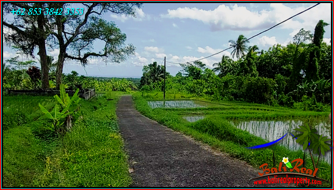 Beautiful PROPERTY LAND SALE IN Penebel Tabanan TJTB558
