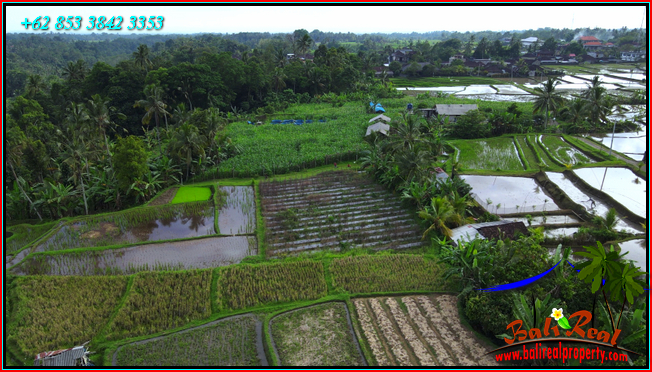 Beautiful Penebel Tabanan BALI 900 m2 LAND FOR SALE TJTB560