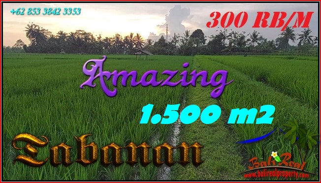 Beautiful 1,500 m2 LAND SALE IN Penebel Tabanan BALI TJTB561