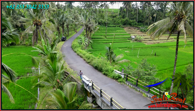 Beautiful PROPERTY LAND IN Penebel Tabanan BALI FOR SALE TJTB562