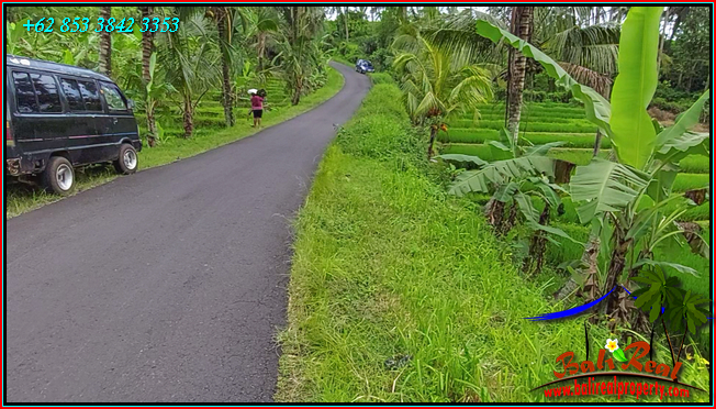 Beautiful PROPERTY LAND IN Penebel Tabanan BALI FOR SALE TJTB562