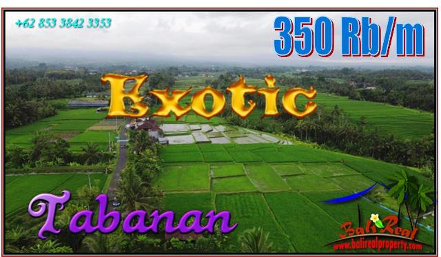 Affordable 2,500 m2 LAND FOR SALE IN Penebel Tabanan BALI TJTB563
