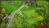 FOR SALE Magnificent 2,000 m2 LAND IN Selemadeg Timur Tabanan BALI TJTB569