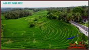 FOR SALE Magnificent 2,000 m2 LAND IN Selemadeg Timur Tabanan BALI TJTB569