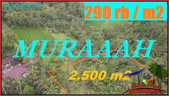 Cheap property 2,500 m2 LAND FOR SALE IN TABANAN TJTB573