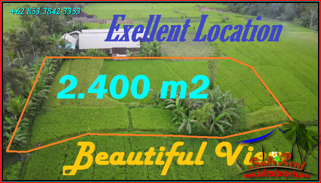 Cheap property LAND IN Tabanan FOR SALE TJTB574