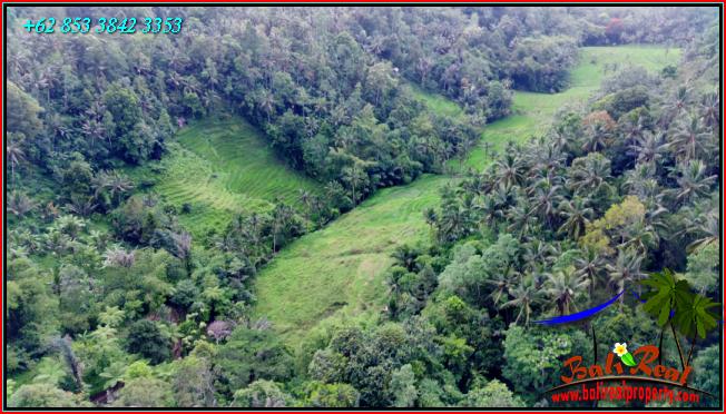 Beautiful Pupuan Tabanan BALI 13,700 m2 LAND FOR SALE TJTB555