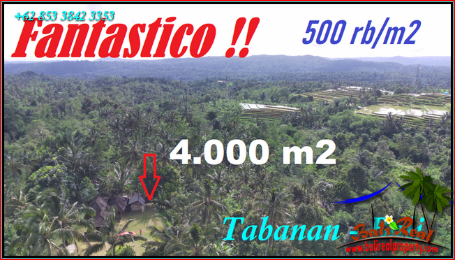 Affordable PROPERTY LAND SALE IN Pupuan Tabanan TJTB541