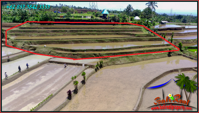 FOR SALE Magnificent LAND IN TABANAN BALI TJTB542