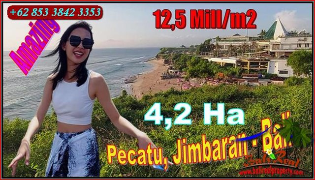 FOR SALE Beautiful 42,000 m2 LAND IN Pecatu Jimbaran BALI TJJI170
