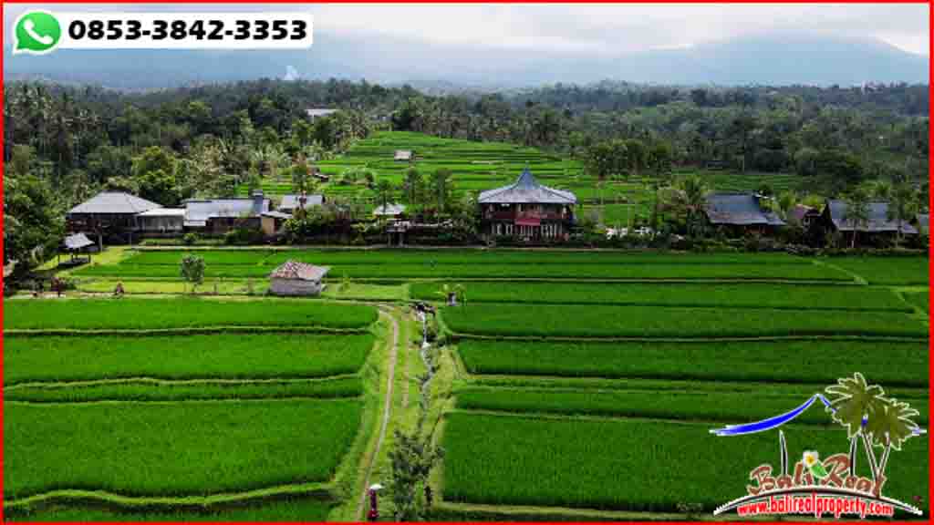 1,800 m2 LAND SALE IN Penebel Tabanan TJTB593