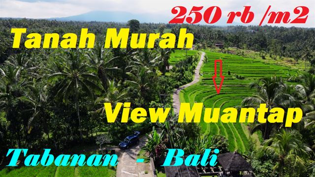 Beautiful 4.800 m2 LAND SALE IN Penebel Tabanan BALI TJTB596
