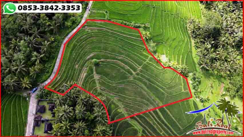 Beautiful 4.800 m2 LAND SALE IN Penebel Tabanan BALI TJTB596