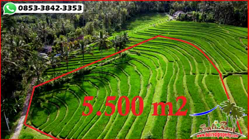 FOR SALE Affordable LAND IN TABANAN BALI TJTB597
