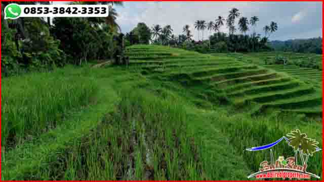 FOR SALE Magnificent 2,800 m2 LAND IN Selemadeg Timur Tabanan BALI TJTB618