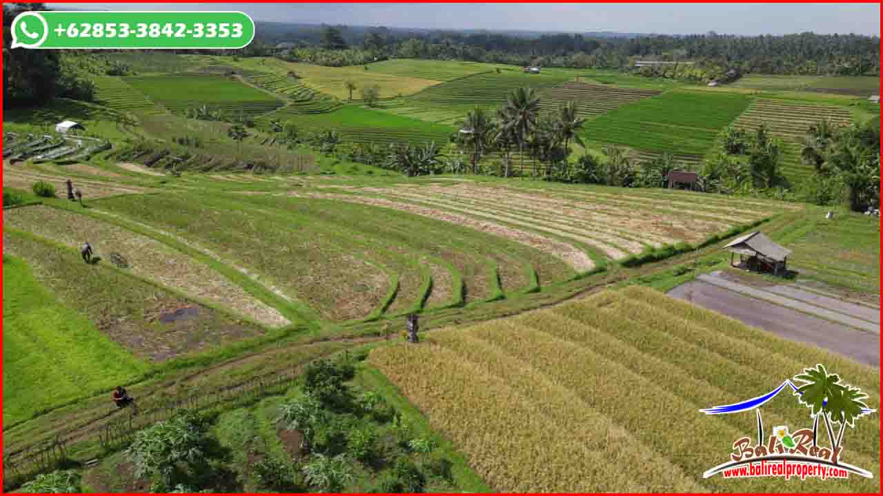 Magnificent PROPERTY Selemadeg Timur Tabanan LAND FOR SALE TJTB628