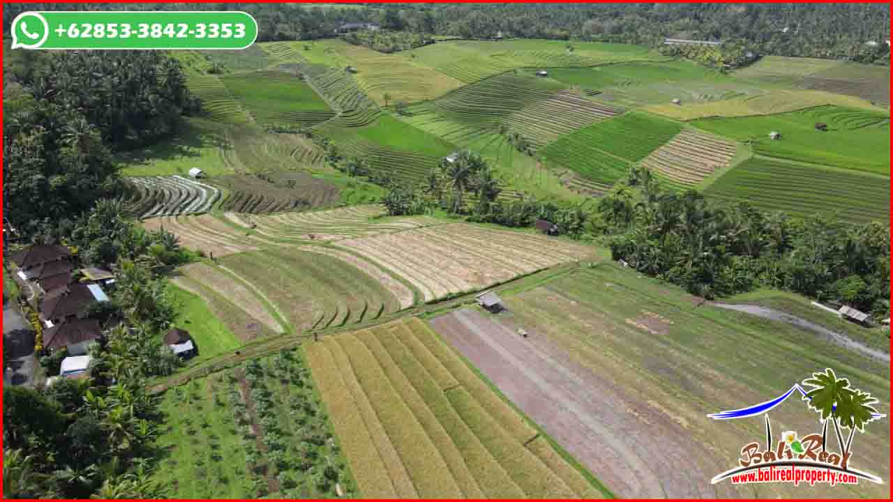 Magnificent PROPERTY Selemadeg Timur Tabanan LAND FOR SALE TJTB628
