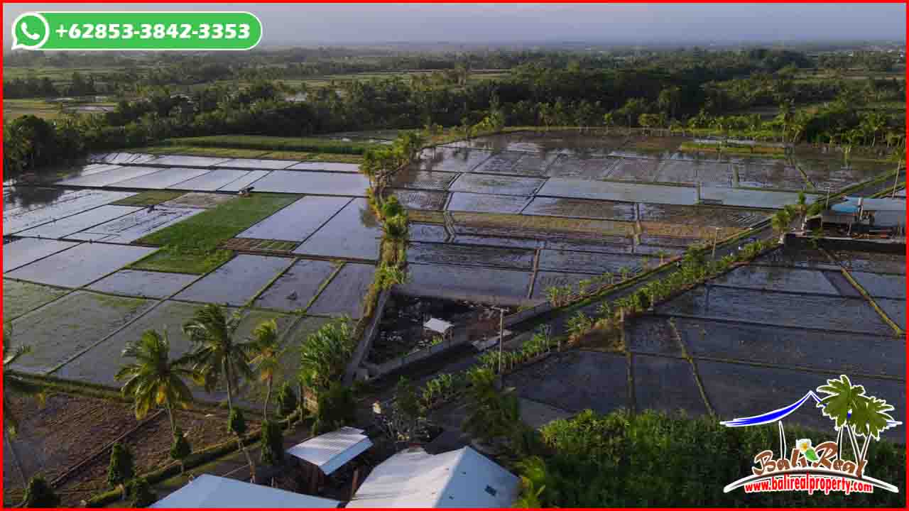 Ex0tic 700 m2 LAND FOR SALE IN Tabanan BALI TJTB636