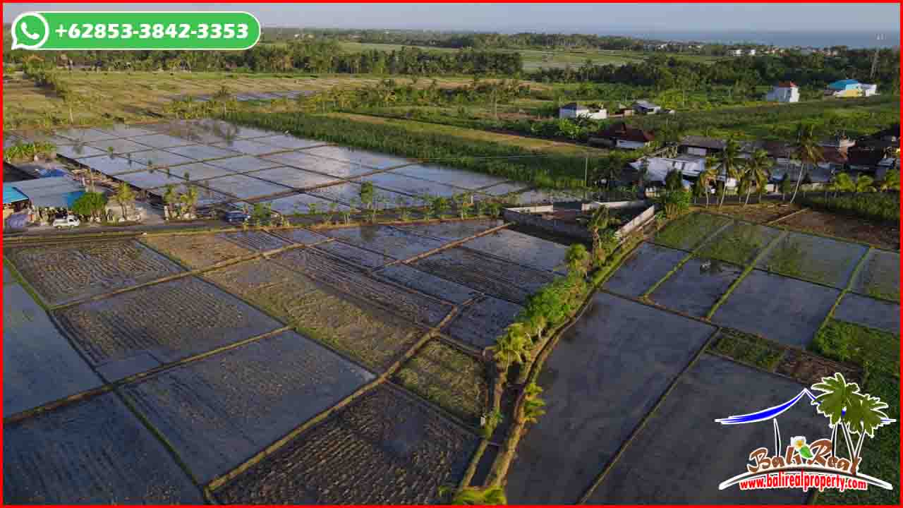 Ex0tic 700 m2 LAND FOR SALE IN Tabanan BALI TJTB636
