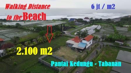 Magnificent PROPERTY 2,100 m2 LAND IN TABANAN FOR SALE TJTB638