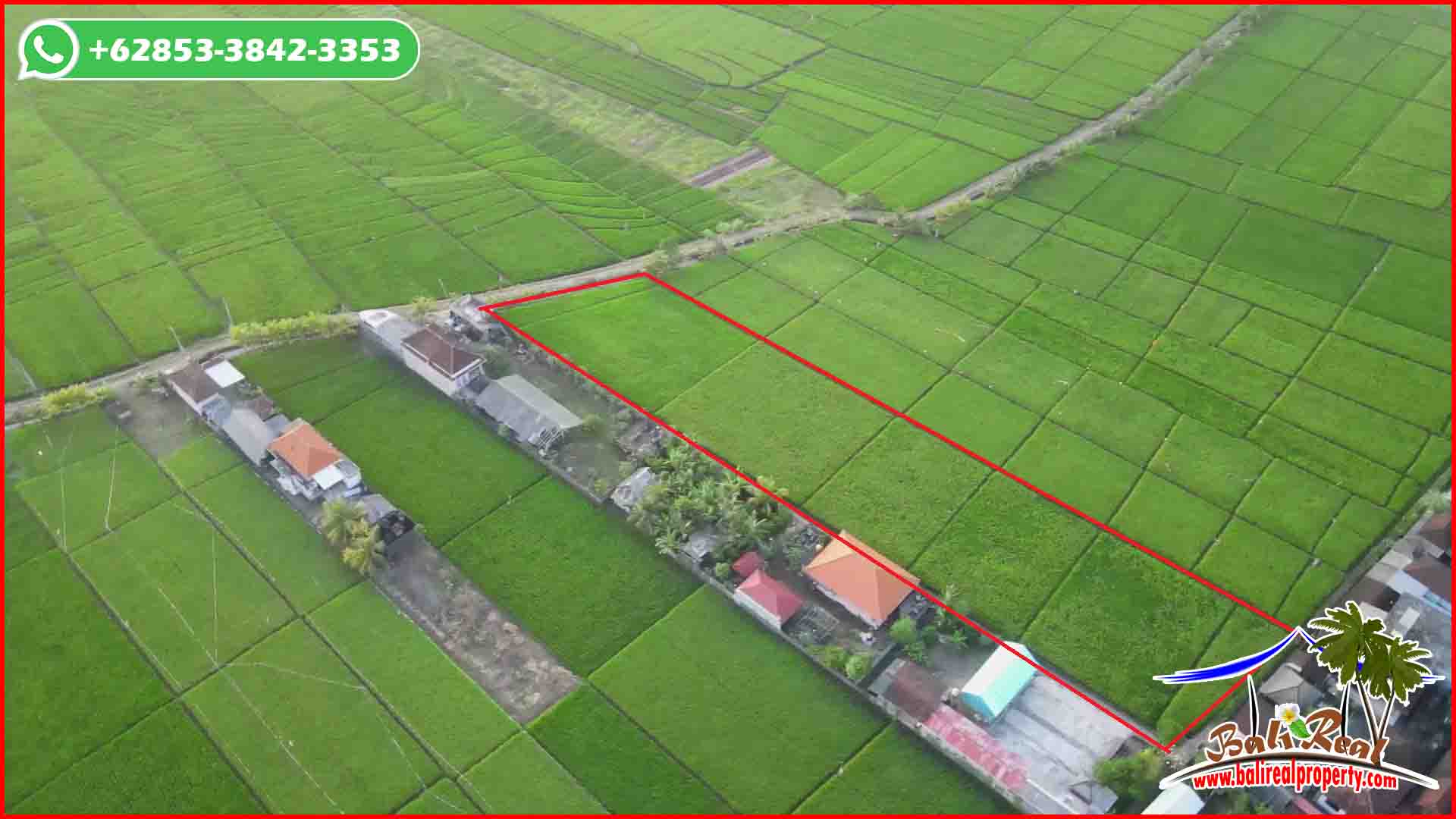 3,700 m2 LAND SALE IN Kerambitan Tabanan TJTB643