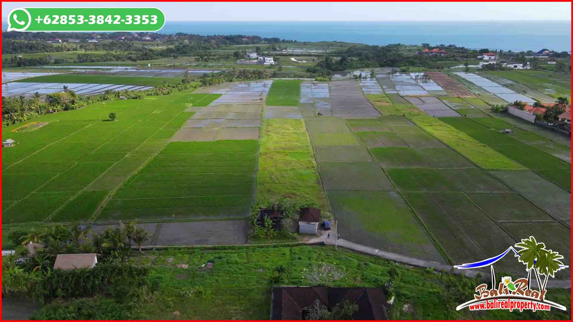 FOR SALE Affordable PROPERTY 2,800 m2 LAND IN Kediri Tabanan BALI TJTB646