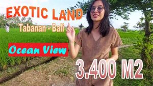 Beautiful 3,400 m2 LAND FOR SALE IN TABANAN TJTB648