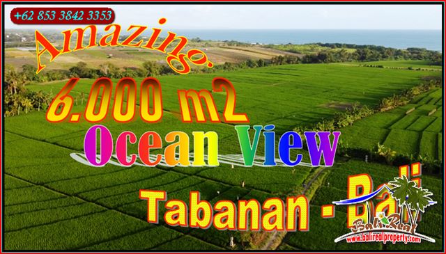 FOR SALE Ex0tic LAND IN TABANAN BALI TJTB649