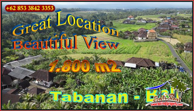 Affordable LAND FOR SALE IN TABANAN BALI TJTB654
