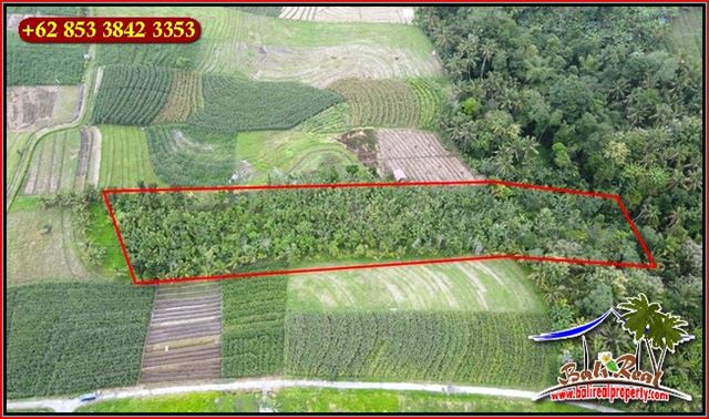 Beautiful Kerambitan Tabanan BALI 6,800 m2 LAND FOR SALE TJTB655