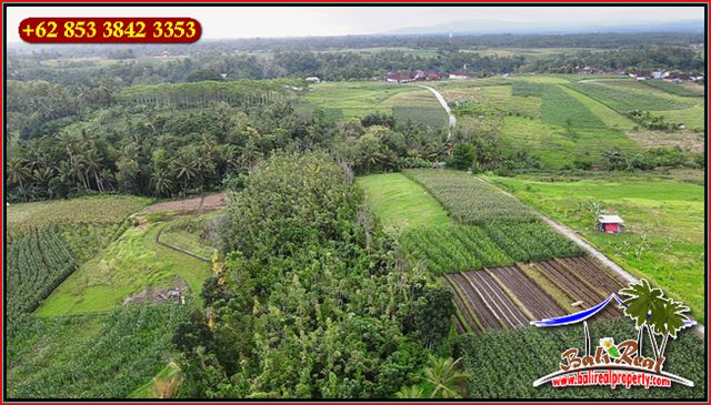 Beautiful Kerambitan Tabanan BALI 6,800 m2 LAND FOR SALE TJTB655