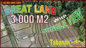 Beautiful Penebel Tabanan BALI 3,000 m2 LAND FOR SALE TJTB660