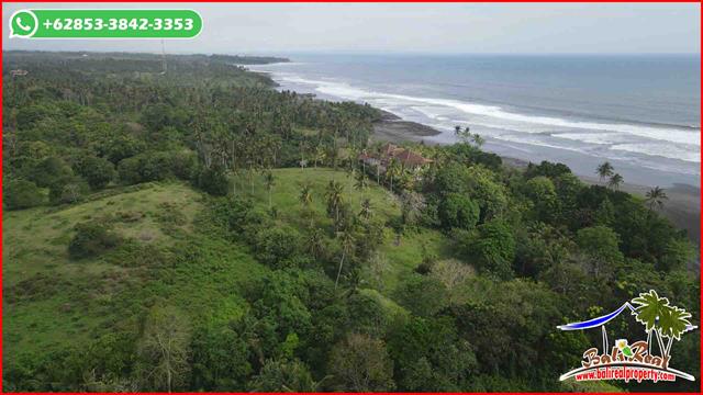 Beautiful PROPERTY LAND IN Selemadeg Barat Tabanan  BALI FOR SALE TJTB662