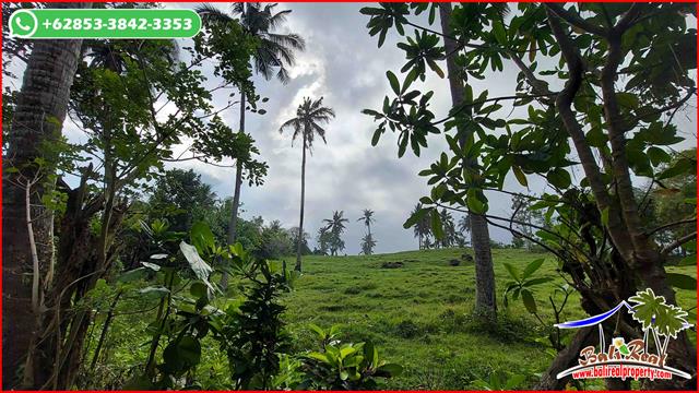 Beautiful PROPERTY LAND IN Selemadeg Barat Tabanan  BALI FOR SALE TJTB662