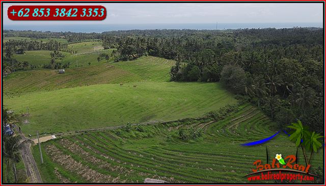Beautiful 10,000 m2 LAND FOR SALE IN TABANAN TJTB664