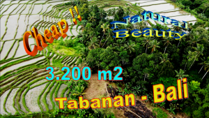 LAND FOR SALE IN TABANAN BALI TJTB682
