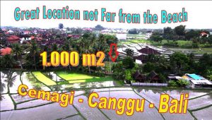 Ex0tic LAND IN Canggu Cemagi FOR SALE TJCG268