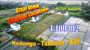 FOR SALE Beautiful 4,100 m2 LAND IN Kediri Tabanan BALI TJTB623