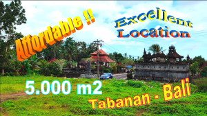 FOR SALE Affordable PROPERTY LAND IN Selemadeg Timur TJTB683