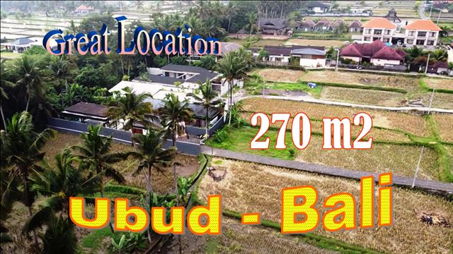 Beautiful PROPERTY LAND for SALE in Ubud Pejeng BALI TJUB849