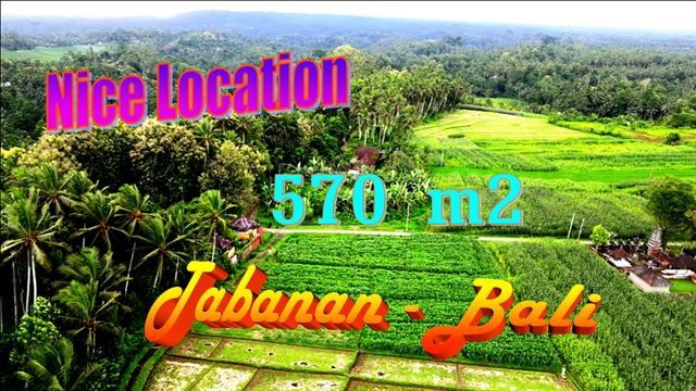Beautiful LAND SALE IN Selemadeg Timur Tabanan TJTB633